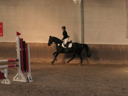 Herbstturnier 25.-27.10.2024